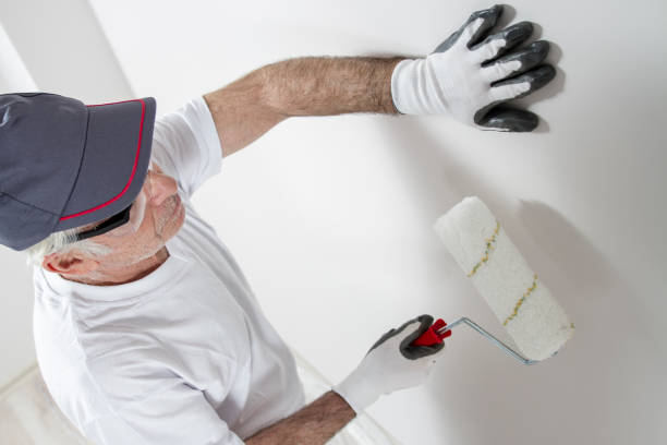 Best Black Mold Removal  in Liberty, SC