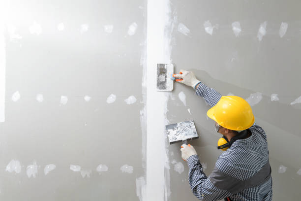 Best Mold Damage Restoration  in Liberty, SC