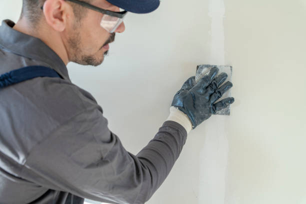 Best Mold Removal for HVAC Installations  in Liberty, SC