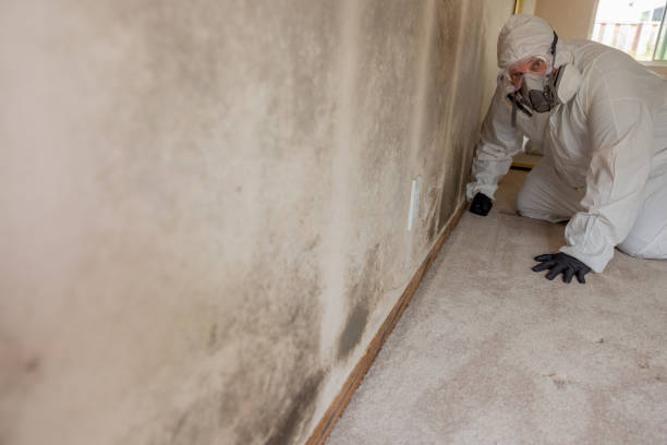 Best HVAC Mold Inspection and Cleaning  in Liberty, SC