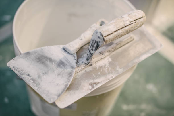 Best Basement Mold Removal  in Liberty, SC