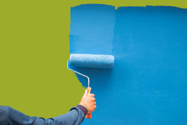 Best Emergency Mold Remediation  in Liberty, SC